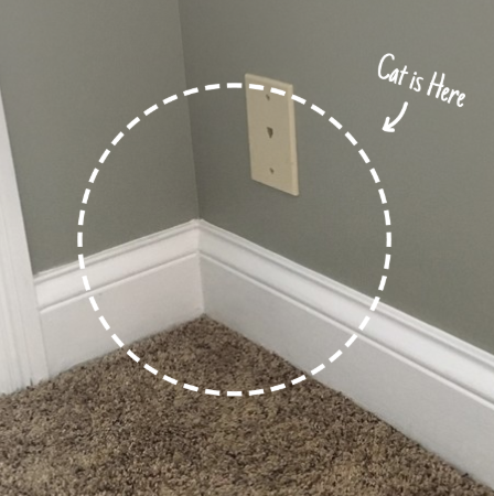 Cat is Here — find the invisible cat